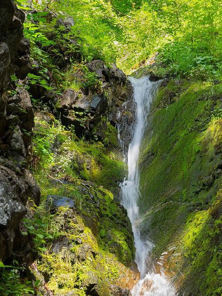 Wild, Jamie and Judy 아티스트의 Washington State-Central Cascades-Waterfall at Kendall Peak작품입니다.